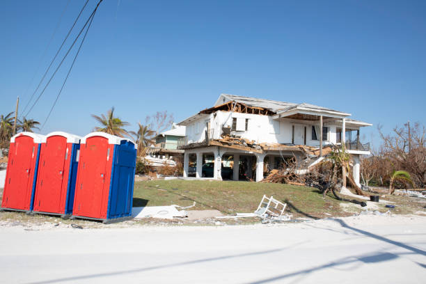 Blasdell, NY Tree Removal Company